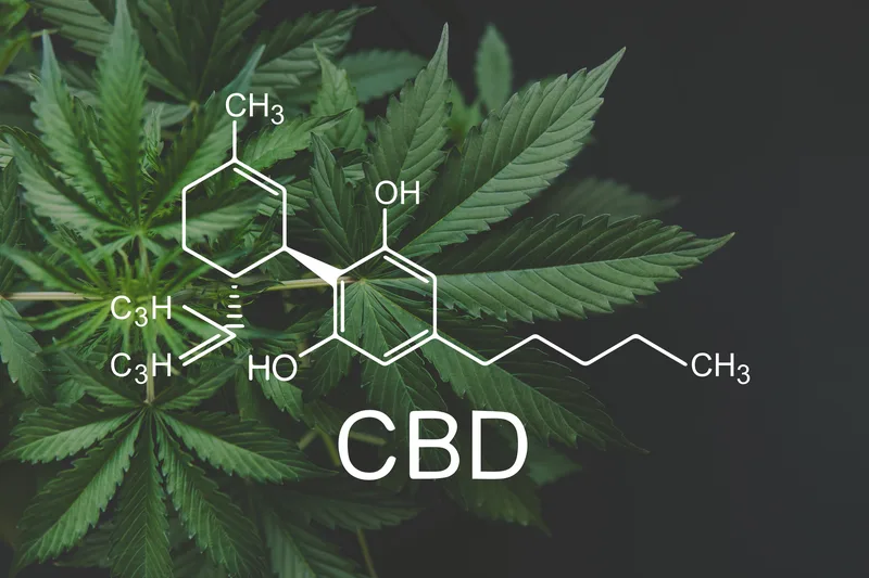 CBD formula. Hemp industry, Growing Marijuana, despancery business. cannabinoids and health, medical marijuana, CBD and THC elements in Cannabis,